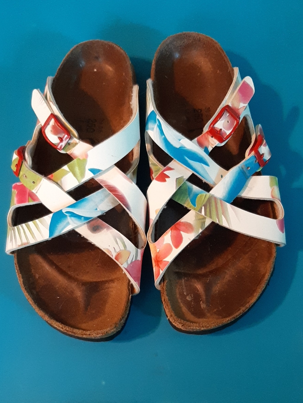 Birkenstock Birki's Sandal Flana Tropical Print Sz39 250 L8 Sea Ocean Dolphins